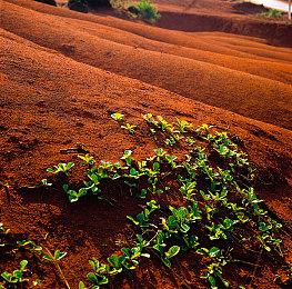 《卧龙：苍天陨落》战旗自定义界面截图 看着很酷